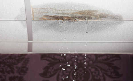 Plumber Harrington Park